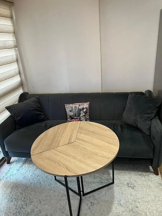 Luxury Residence Istanbul Apartment